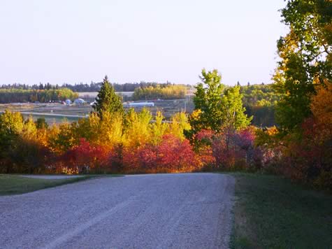 Village of Bjorkdale